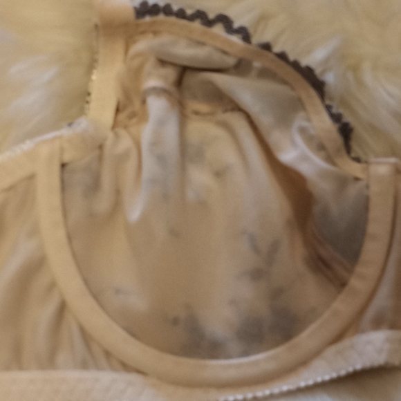 Curve Muse Embroidered Lace & Mesh Bra - Picture 12 of 16